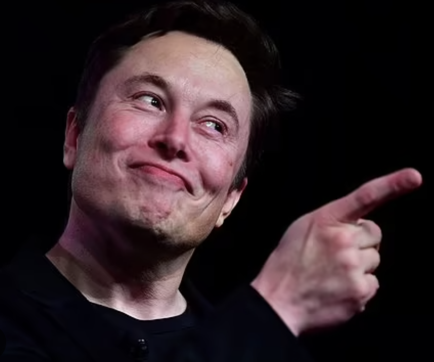Elon Musk a abandonné le plan de privatiser Tesla environ deux semaines après ses premiers tweets en août 2018.